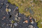 VTT – Image 13